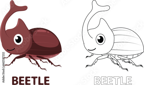 Cute Beetle cartoon Coloring Book, hand drawn simple lines