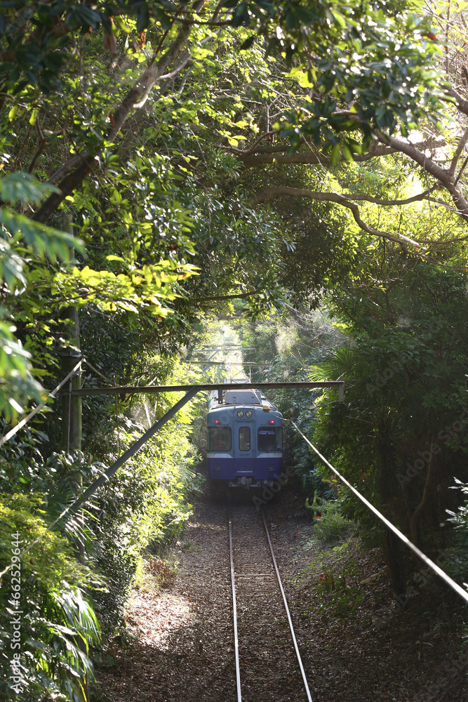 Naklejka premium 緑のトンネルをゆく銚子電鉄
