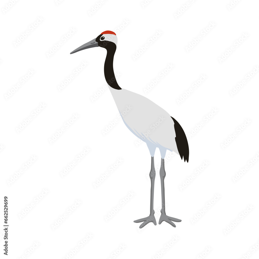 vector drawing sketch of bird, hand drawn red-crowned crane, isolated nature design element vector drawing sketch of bird, hand drawn red-crowned crane, isolated nature design element