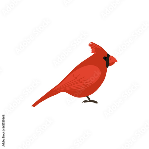 vector drawing sketch of red bird  hand drawn northern cardinal  isolated nature design element