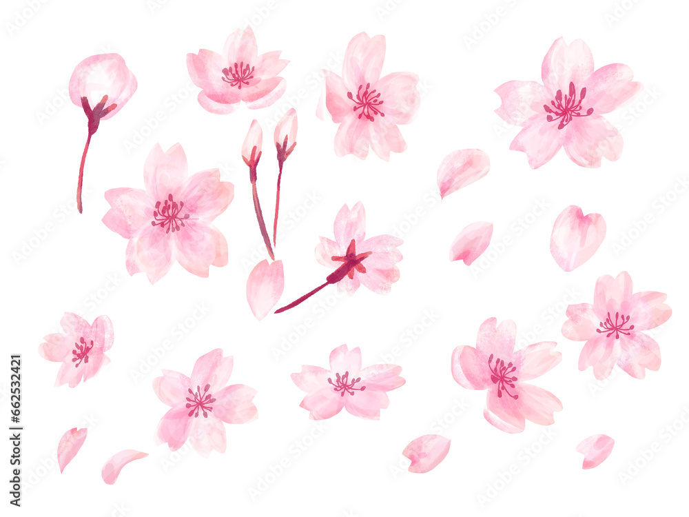桜の切り抜きで使える透過背景の手描き風イラスト素材