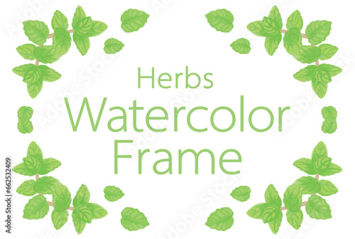 アロマに使われるハーブ・植物のイラスト・フレーム。ベクター素材