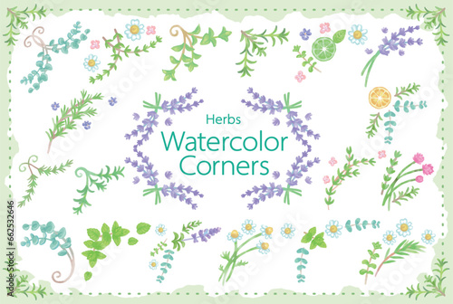 アロマに使われるハーブ・植物のイラスト。フレームが作れます。ベクター素材