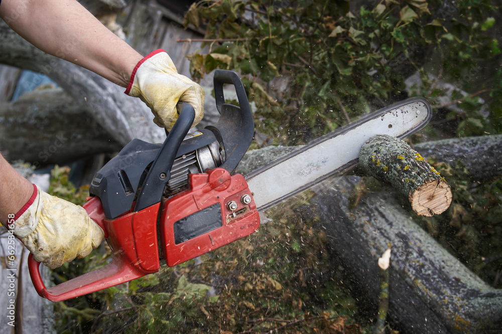 Chainsaw held firmly in the individual's hands Chainsaw held firmly in the individual's hands