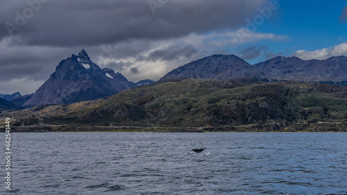 The picturesque mountain range of the Andes Martial against the blue sky, clouds. View from the Beagle Canal. In the foreground, in the water, the tail of a diving whale is visible. Argentina.