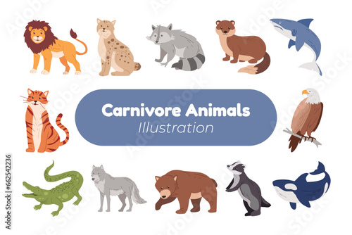 carnivore animal vector illustration design