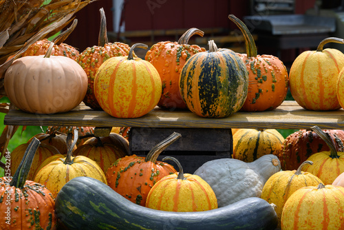 Pumpkin sale at farm (ID: 662542284)