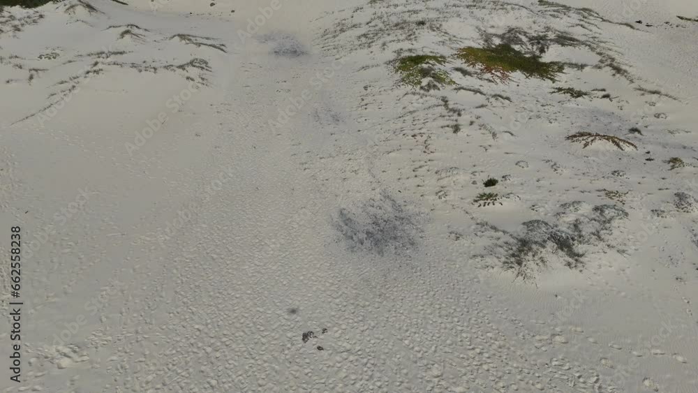 Expansive Sand Dunes with Distant Ocean View Expansive Sand Dunes with Distant Ocean View