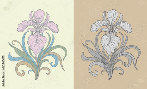 Frame with a iris flower in the style of Art Nouveau. Beautiful iris vintage floral composition 1920-1930 years.