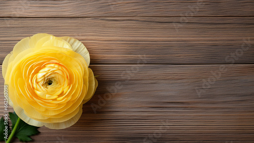 Ranunculus Flower on Wood Background with Copy Space