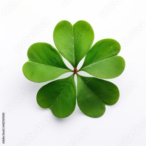 Cloverleaf on white background