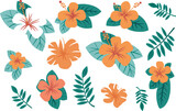 set of tropical flowers, set of hawaiin flowers vector illustration