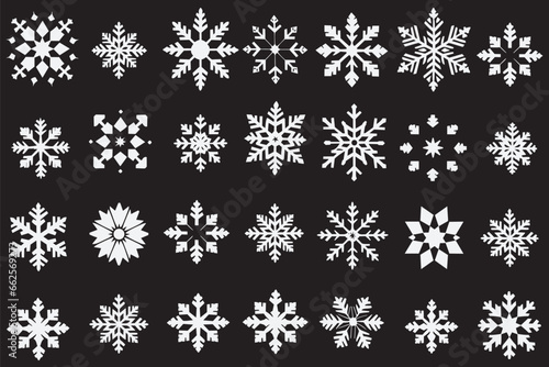 set of snow flakes vector illustration