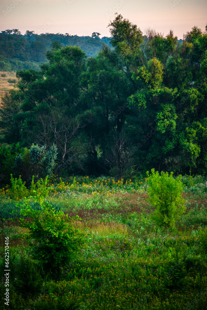 A Splendid Sunrise over a Serene Field of Wildflowers and a Lone Coniferous Tree. Fog over the forest . Green trees in forest . Summer landscape . Summer morning in the field
A Splendid Sunrise over a Serene Field of Wildflowers and a Lone Coniferous Tree. Fog over the forest . Green trees in forest . Summer landscape . Summer morning in the field