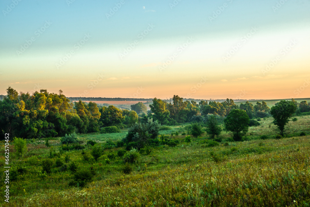 Obraz premium A Splendid Sunrise over a Serene Field of Wildflowers and a Lone Coniferous Tree. Fog over the forest . Green trees in forest . Summer landscape . Summer morning in the field 