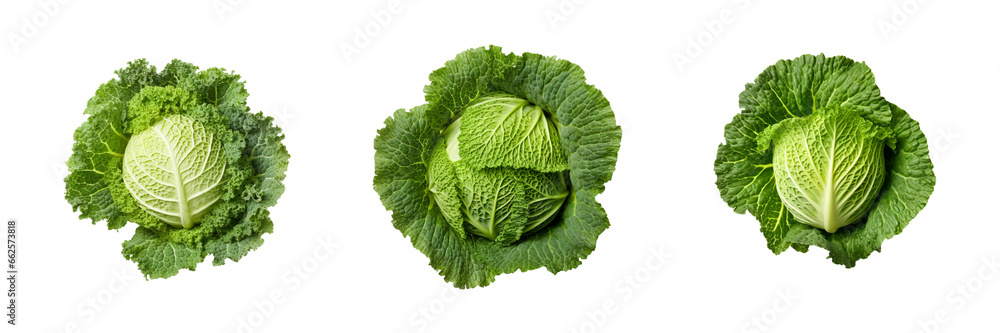 Set of Savoy cabbage top view isolated on transparent or white background - obrazy, fototapety, plakaty 