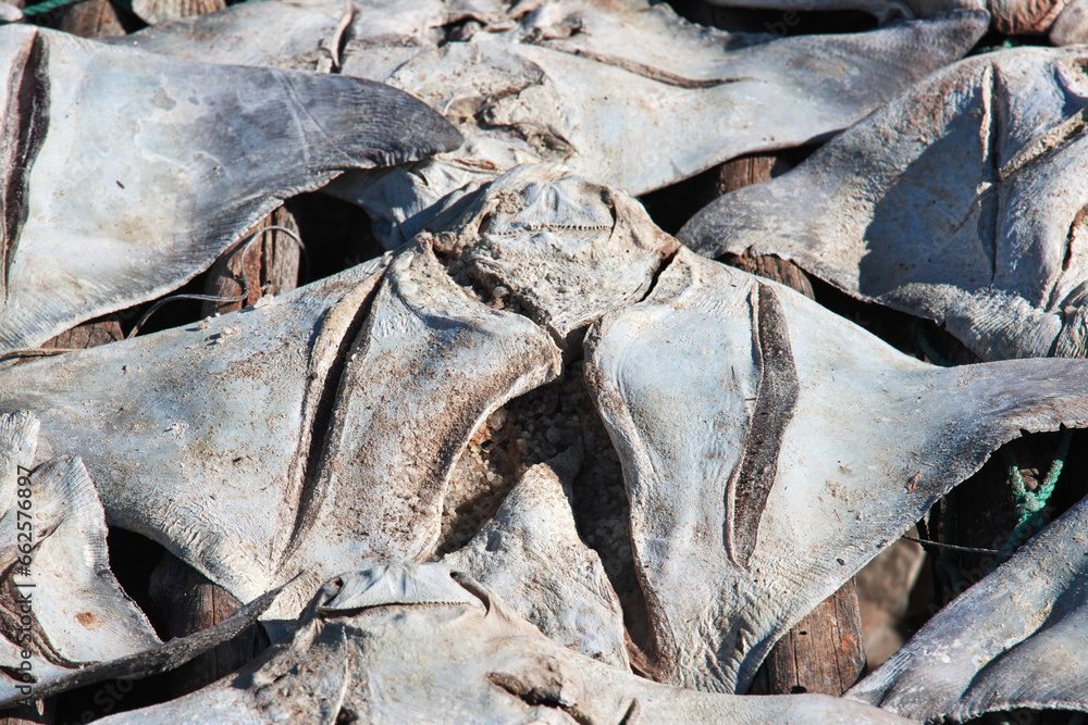 Dry fish in the village on Casamance river, Ziguinchor Region, Senegal, West Africa Dry fish in the village on Casamance river, Ziguinchor Region, Senegal, West Africa