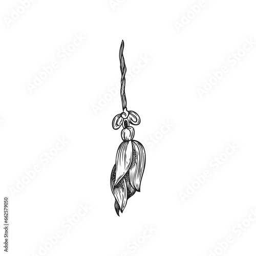 Engraved hand drawn decorative tassel rope, Japanese tradition accessories elegance braid vector isolated illustration