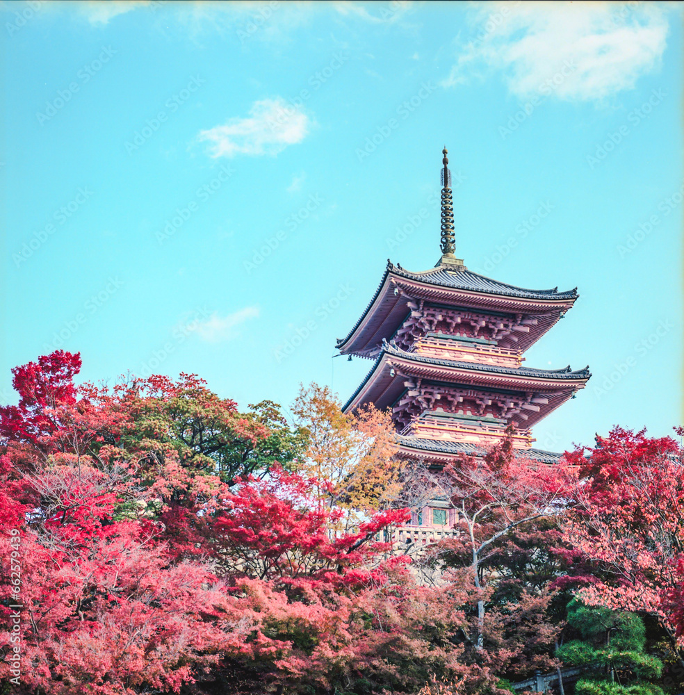 紅葉の清水寺 紅葉の清水寺