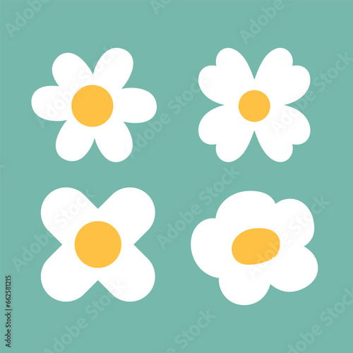 daisy flower