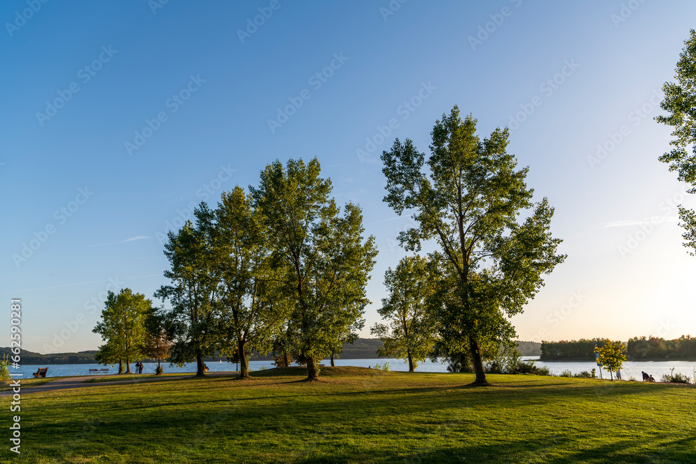 trees at the lake in fall trees at the lake in fall