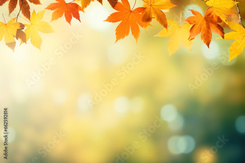 Border fall maple leaves on autumn blurred background in golden hour, Copy space