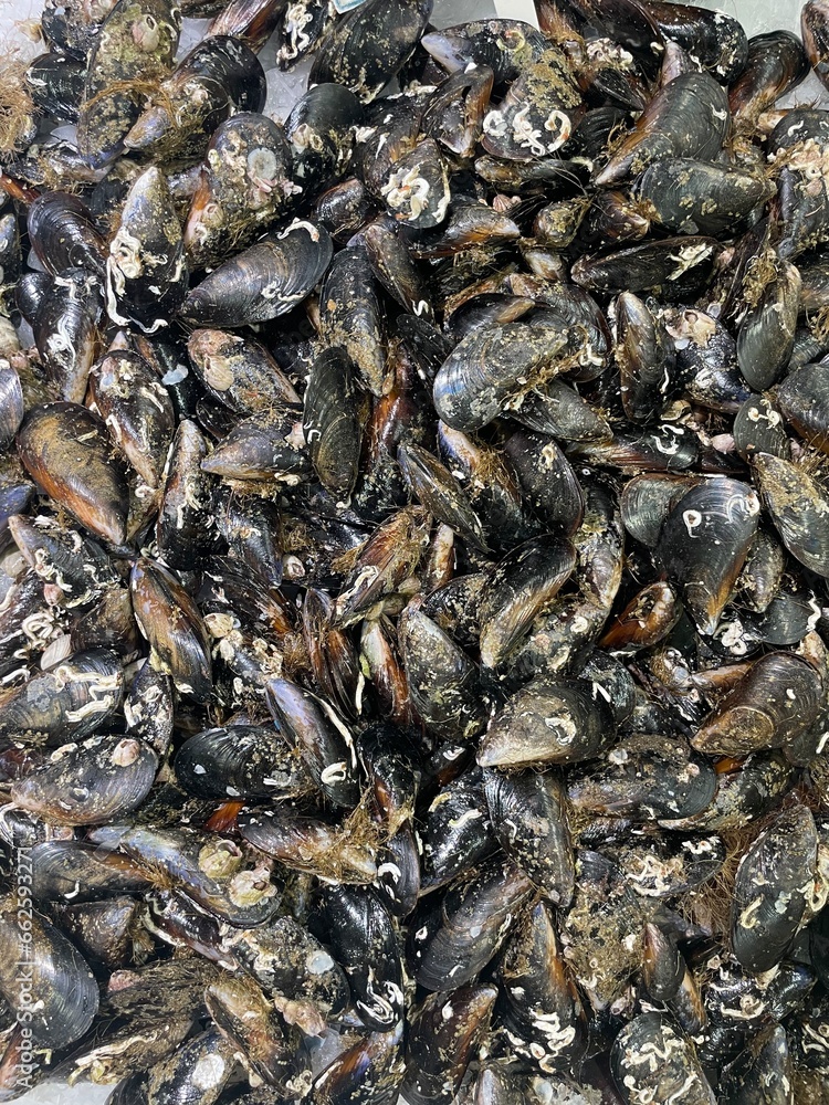 Pile of mussles in the supermarket. Flat lay background Pile of mussles in the supermarket. Flat lay background