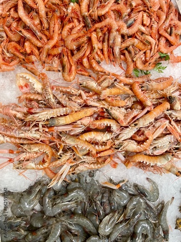 Seafood supermarket stand with a variety of seafood for sale: scampi, prawns, shrimps, shells