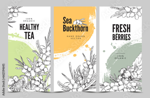 Sea-buckthorn berries tea and food labels hand drawn sketch vector illustration.