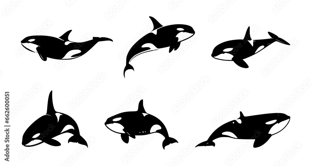 set of orca silhouettes on isolated background set of orca silhouettes on isolated background
