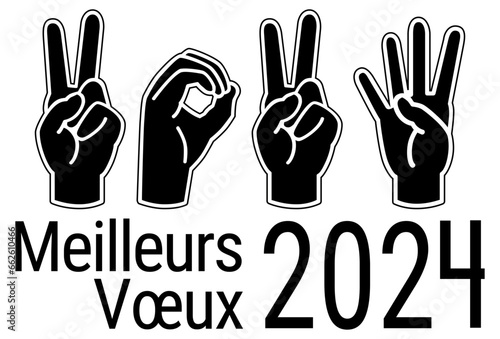 MEILLEURS VŒUX 2024 mains langage des sourd rébus 3