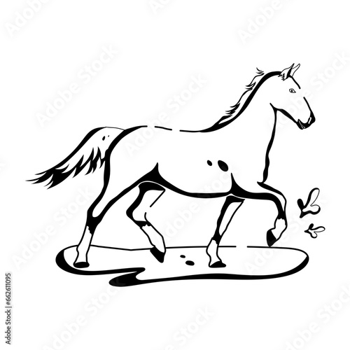 Desert Horse