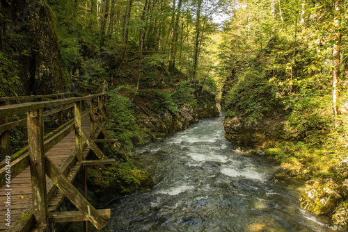 A wooden walkway next to the Kamacnik River in Kamacnik Kanjon  Primorje-Gorski Kotar County  north west Croatia. August