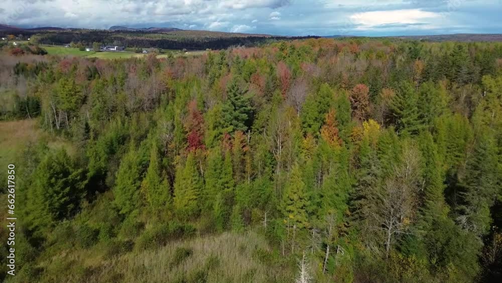 Aerial view of part of the Canadian forest in Quebec in the fall Aerial view of part of the Canadian forest in Quebec in the fall