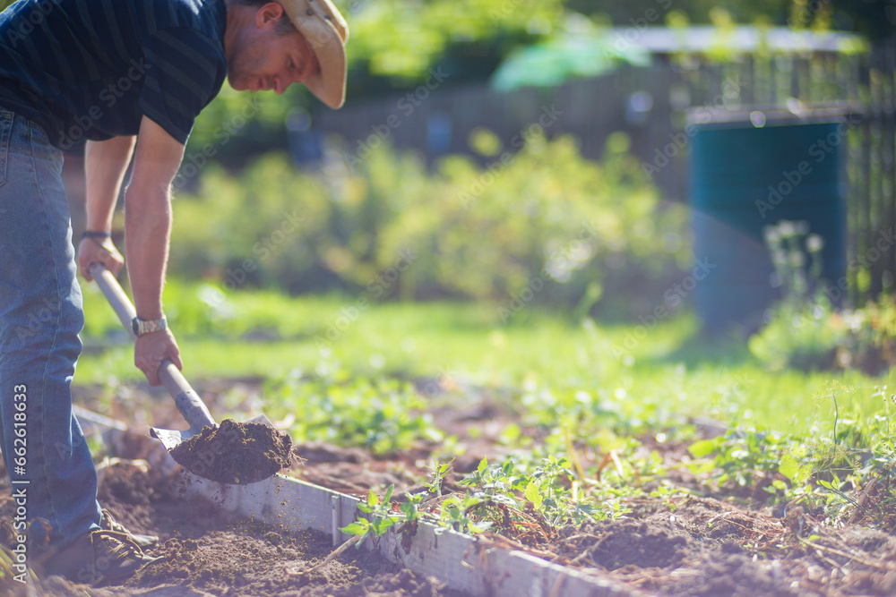 Fototapeta premium The farmer digs the soil in the vegetable garden. Preparing the soil for planting vegetables. Gardening concept. Agricultural work on the plantation