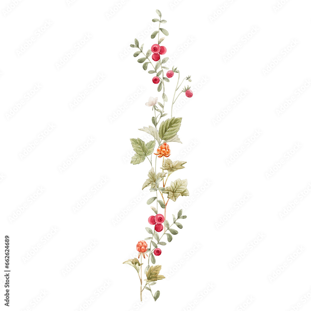 Beautiful composition with hand drawn watercolor different forest wild berries. Clip art. Stock illustration.