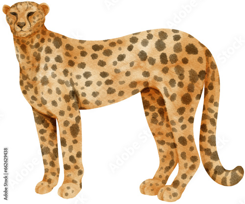 Cheetah savanna animals watercolor illustration