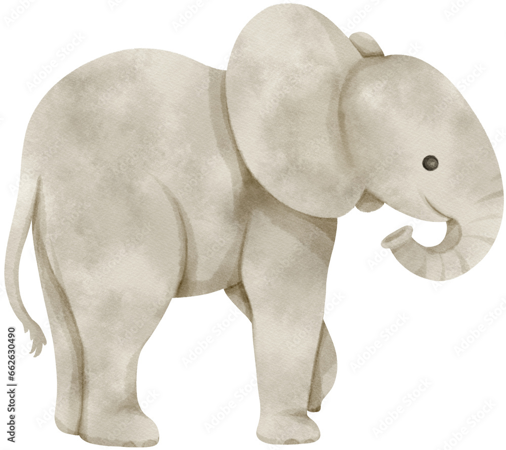 Cute Elephant Watercolor illustration Cute Elephant Watercolor illustration