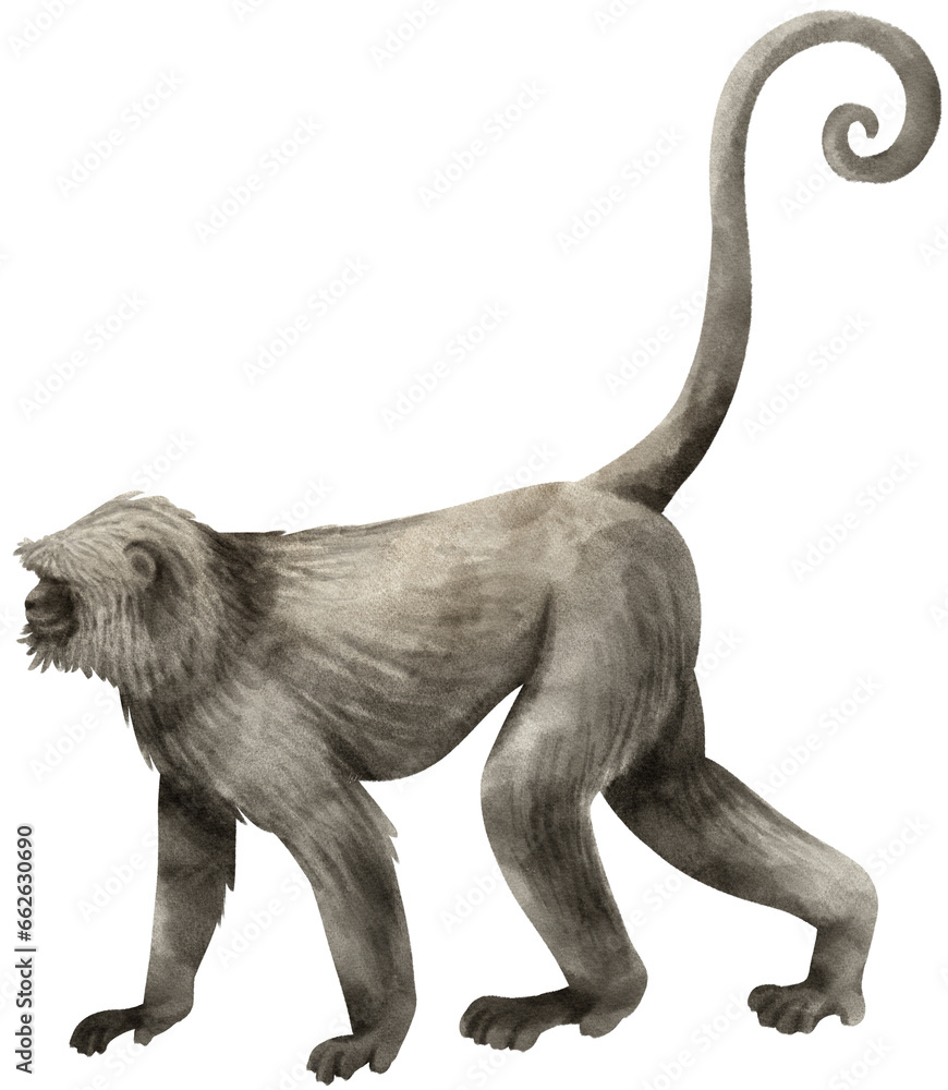 Φωτογραφία Wild monkey Watercolor illustration