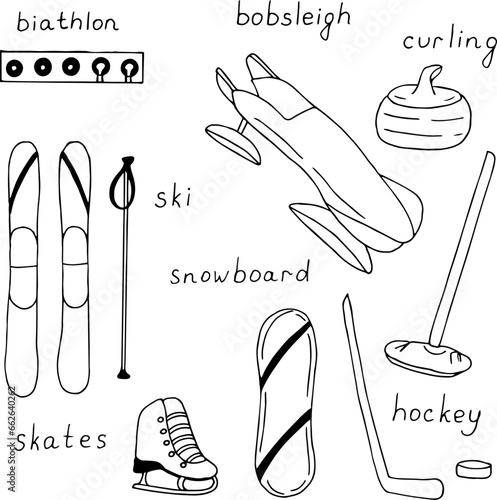 Set of winter sports, vector illustration
