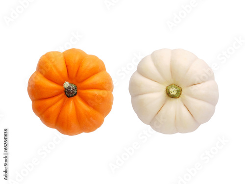 Canvastavla Two fresh orange and white colored miniature pumpkins isolated