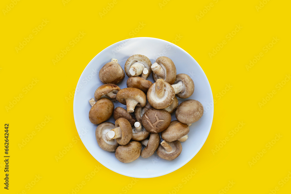 Fresh shiitake mushrooms on yellow background.