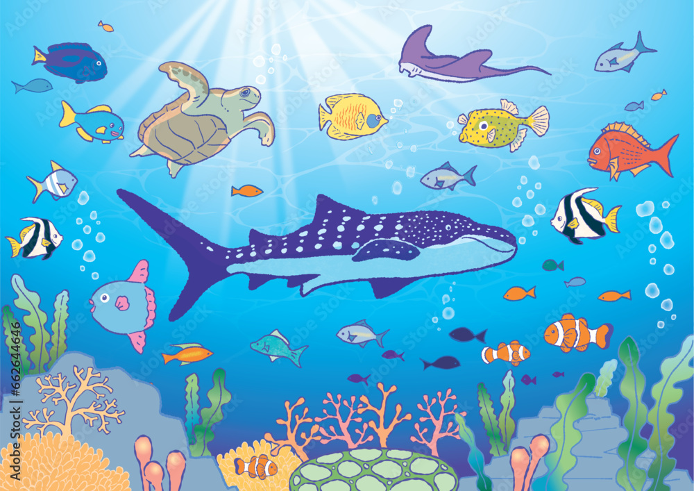 Obraz premium 海の生き物のベクターイラストセット