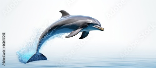 Dolphin leaps high from the sea With copyspace for text