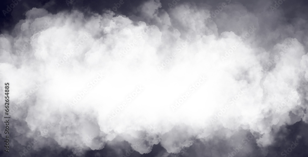 Fototapeta premium black and white smoke