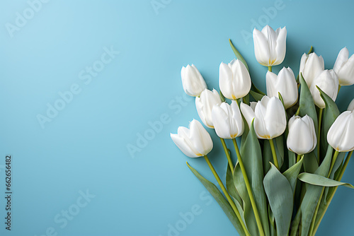 Bouquet of white tulips on a blue background