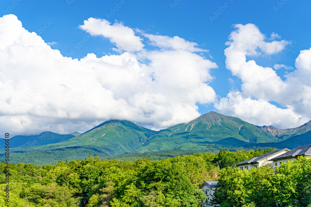 Obraz premium 夏の北海道美瑛・富良野 白ひげの滝(白金)から見た十勝岳連峰