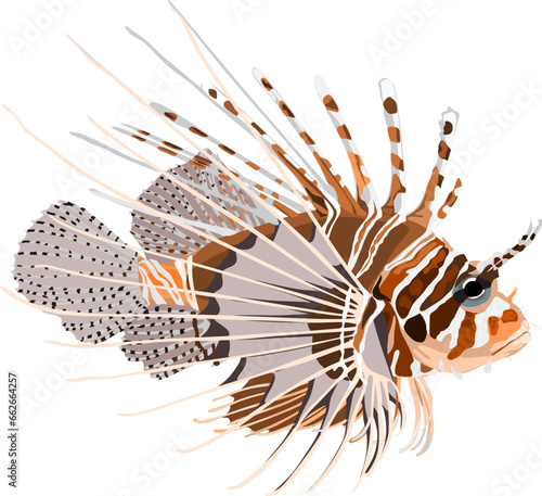 illustration of a lionfish