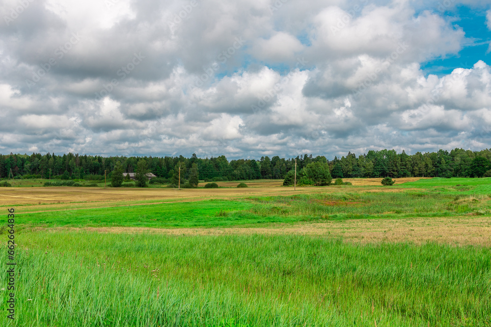 Beautiful summer rural landscape in a green meadow with hay rolls and forest in the background and blue cloudy sky