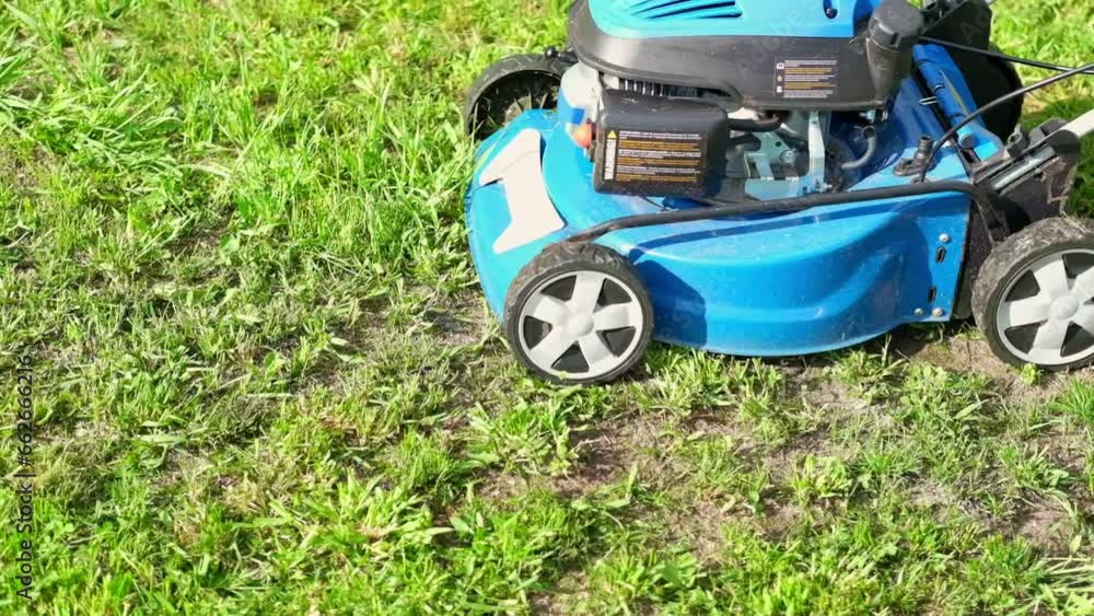 Lawn mower cutting grass. Small grass cuttings fly out of lawnmower. Grass clippings get spewed out of a mower pushed around by landscaper. CloseUp. Gardener working with mower machine. Mowing lawns
Lawn mower cutting grass. Small grass cuttings fly out of lawnmower. Grass clippings get spewed out of a mower pushed around by landscaper. CloseUp. Gardener working with mower machine. Mowing lawns